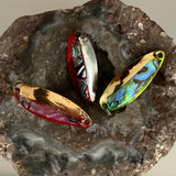 Abalone - Half Shell